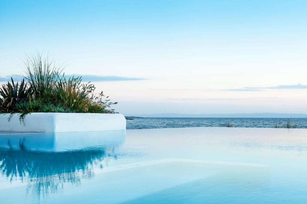 a pool of blue water with plants in it at Sea Sense Boutique Hotel & Wellness in Sozopol