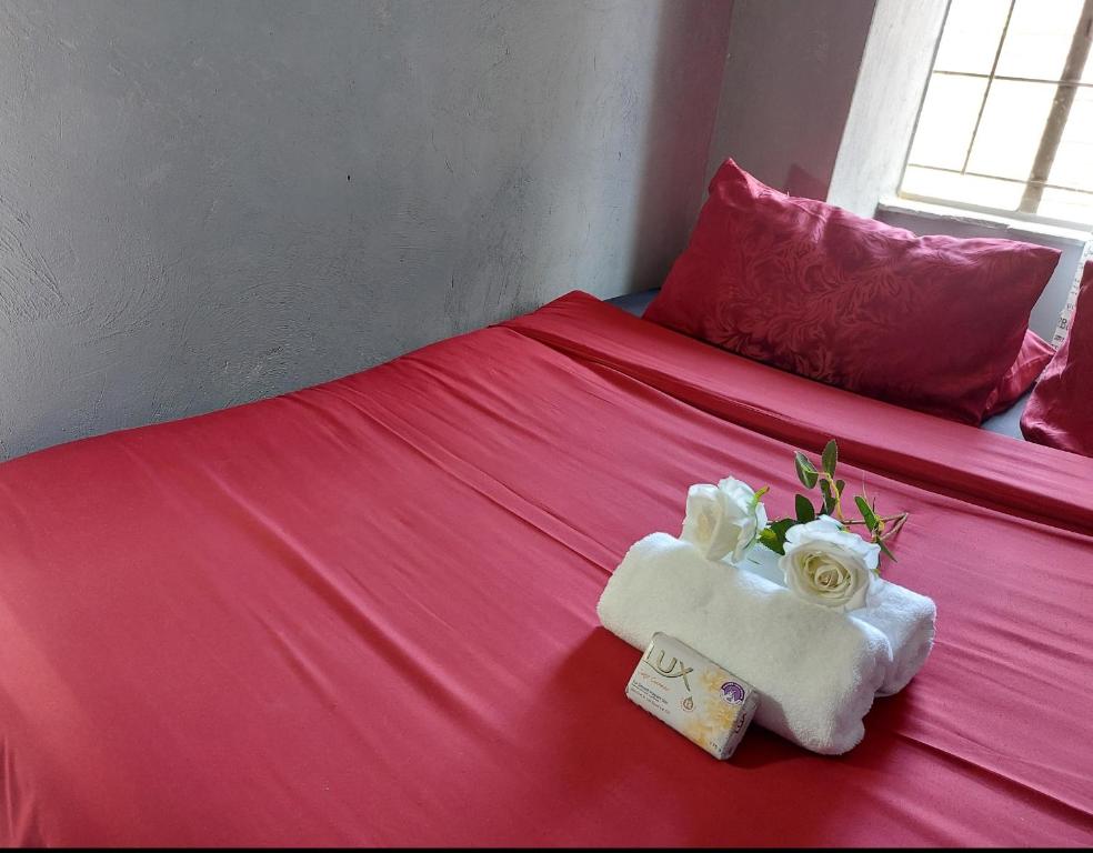 Spacious Hatfield Apartment - Hizvo