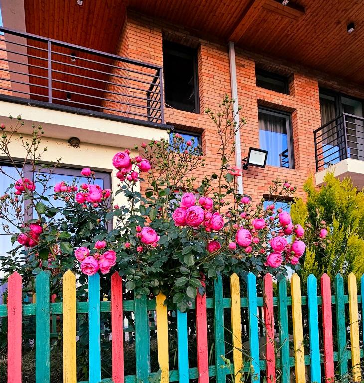 a fence with pink roses behind a colorful fence at GM - Guesthouse in Choporti