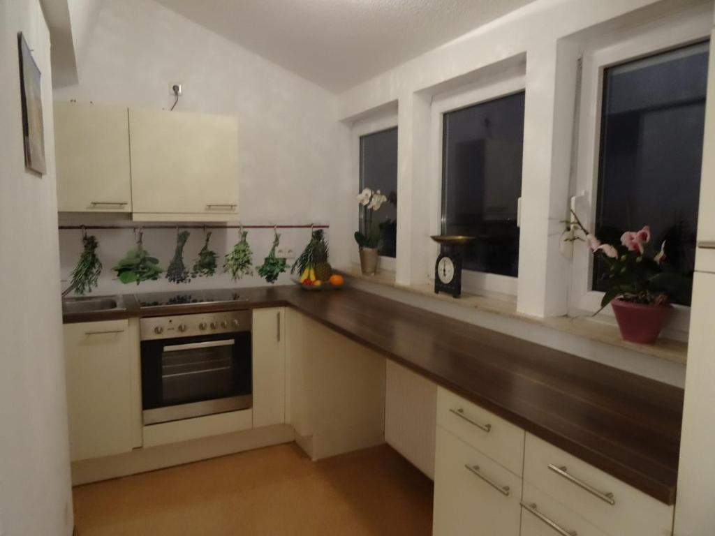 a kitchen with white cabinets and a counter with windows at Ferienwohnung Strunz Backnang ruhig zentrumsnah & S-Bahn in Backnang