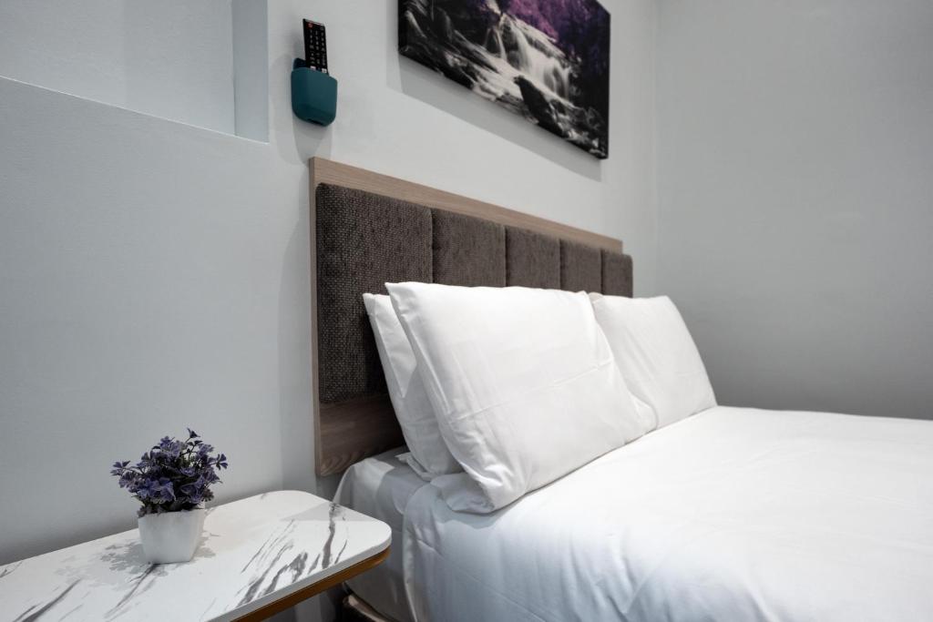 MSK Premium - 