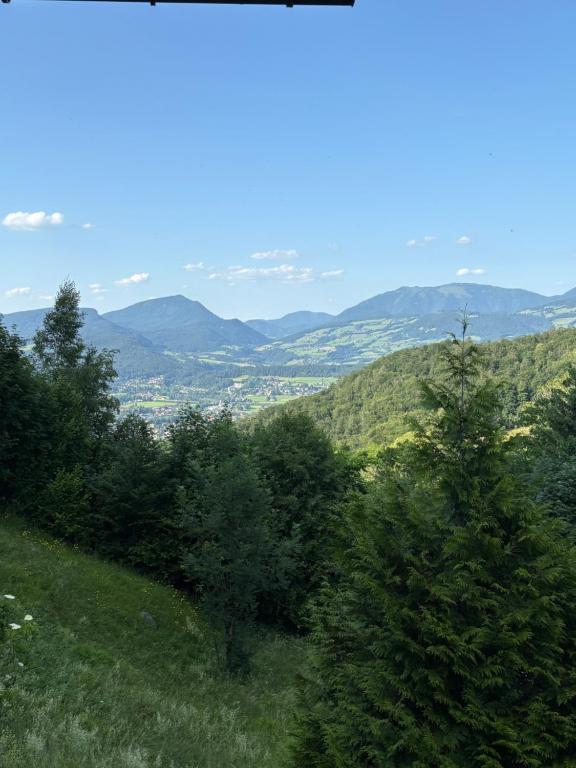 a hillside with trees and mountains in the distance at FeWo Landidyll in Dürrnberg