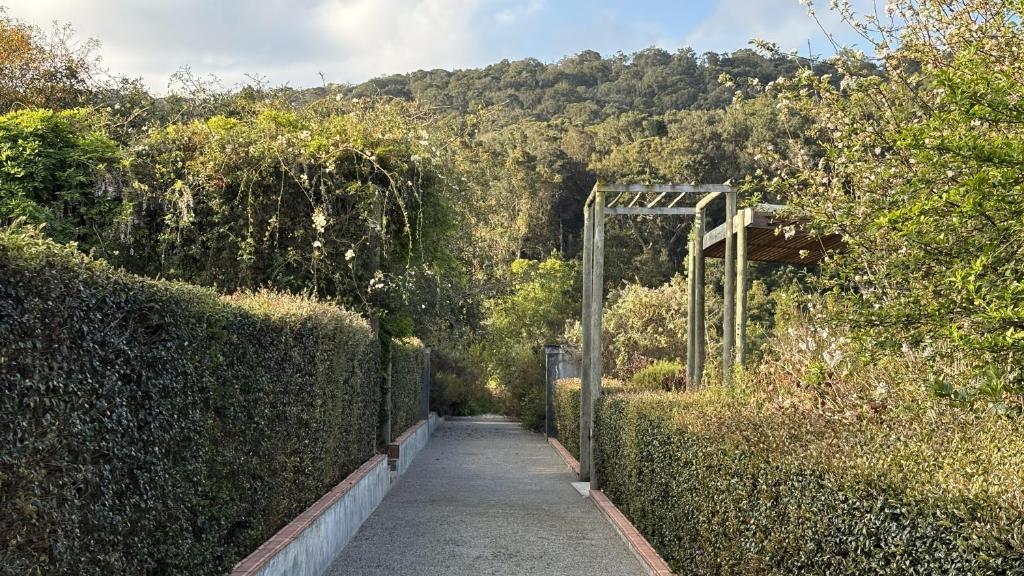 a walkway through a hedge with a gate at Woodcutters Forest Cottages in Knysna