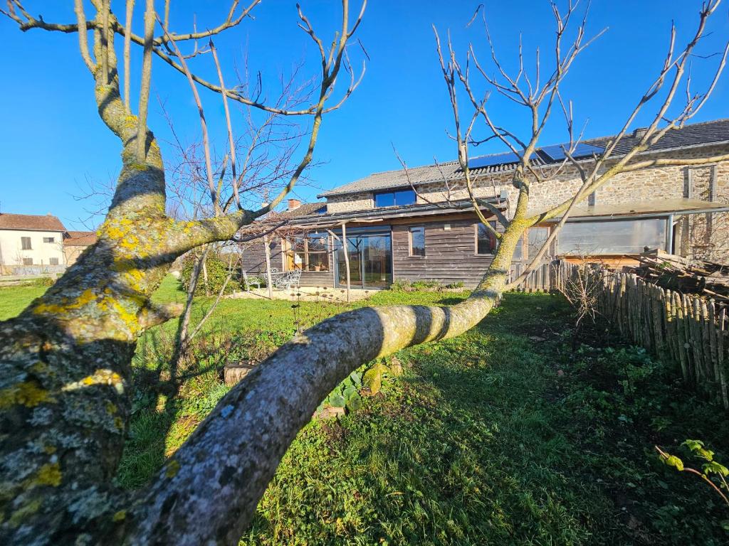 a tree in front of a house at Ferme écologique in Saint-Junien-les-Combes