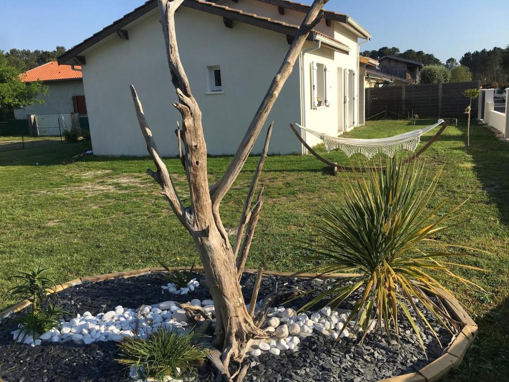 a tree in a flower bed in a yard at Maison côté lac in Parentis-en-Born