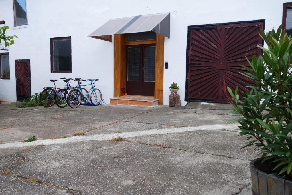 Jízda na kole v ubytování Gasthaus Helena nebo okolí