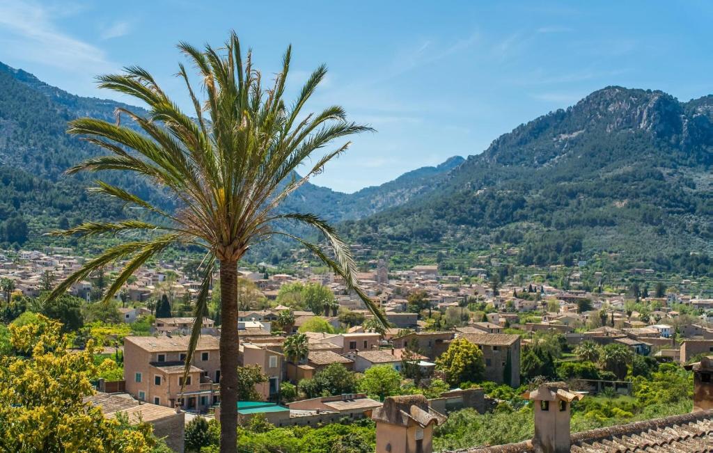 a palm tree in a town with mountains in the background at Arbona Soller in Sóller
