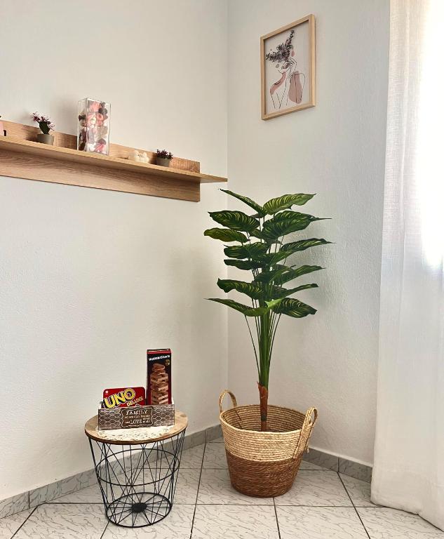 Jacque's Boutique Suite - 3