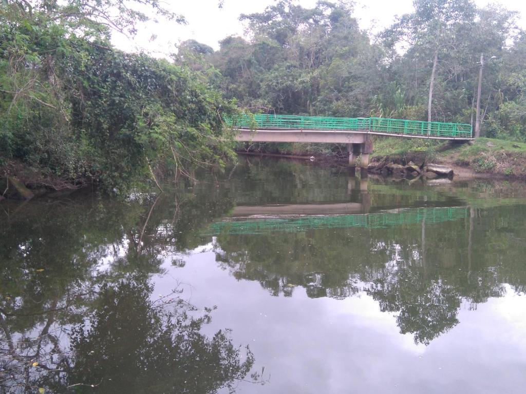  Suítes 239
