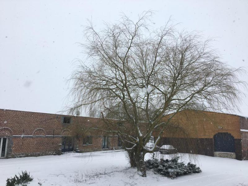 a tree in the snow in front of a building at La gaîté de louvignies in Louvignies-Quesnoy