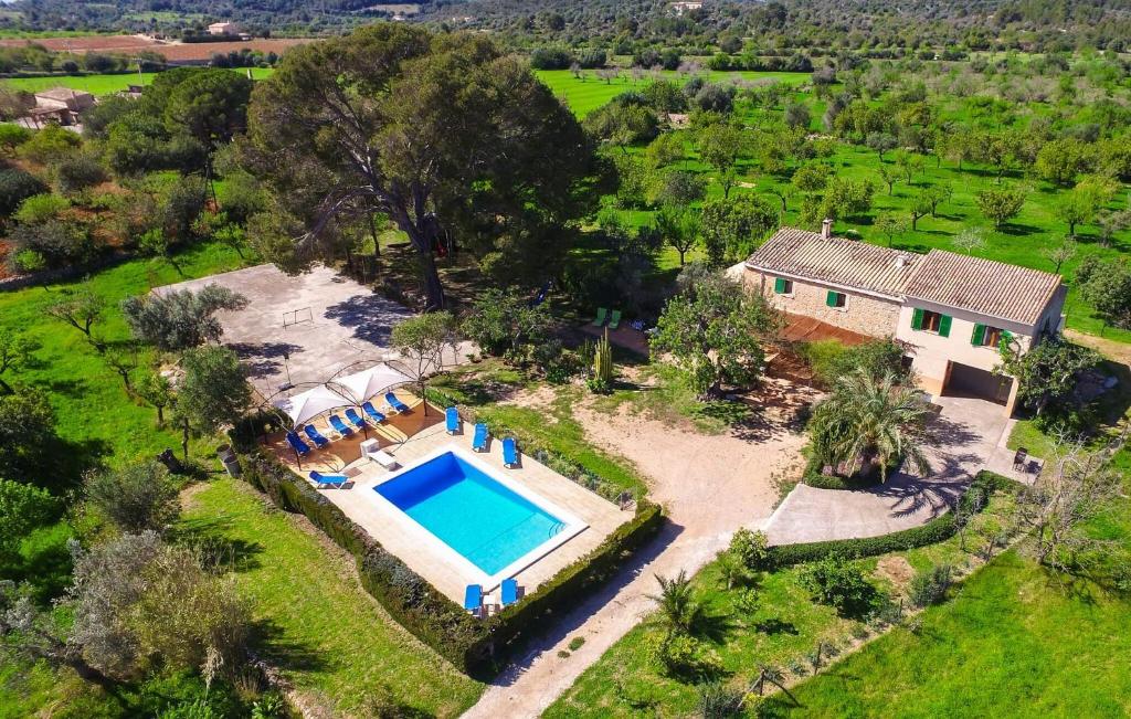 Luftaufnahme eines Hauses mit Swimmingpool in der Unterkunft Ceratonia in Binissalem