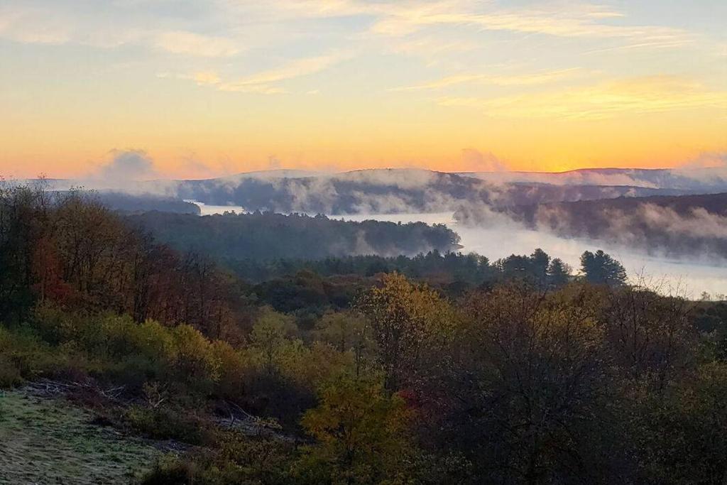 a view of a foggy forest at sunset at As You Wish by Railey Vacations in Oakland