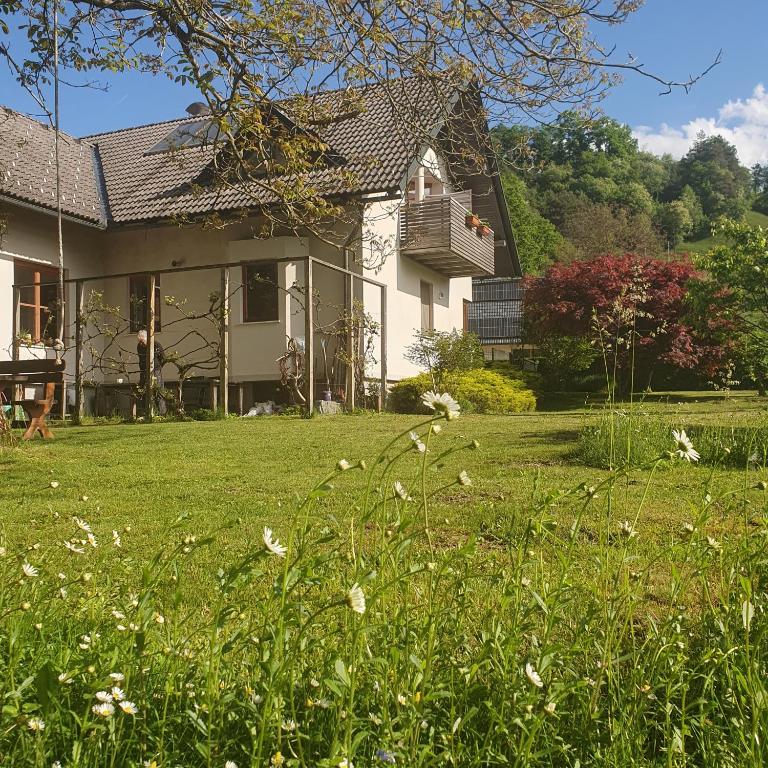 a house with a yard with green grass at River House Radolca in Radovljica