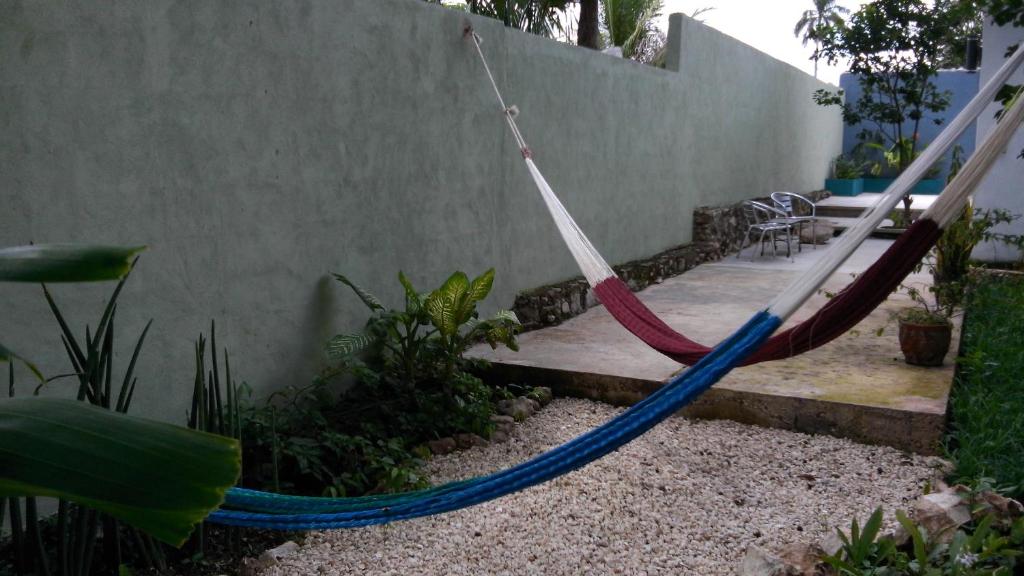 a hammock tied to a wall in a garden at Casa Del Aire in Mérida