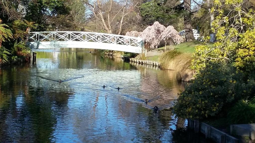 Jan's Boutique B & B Suite - Resim 14