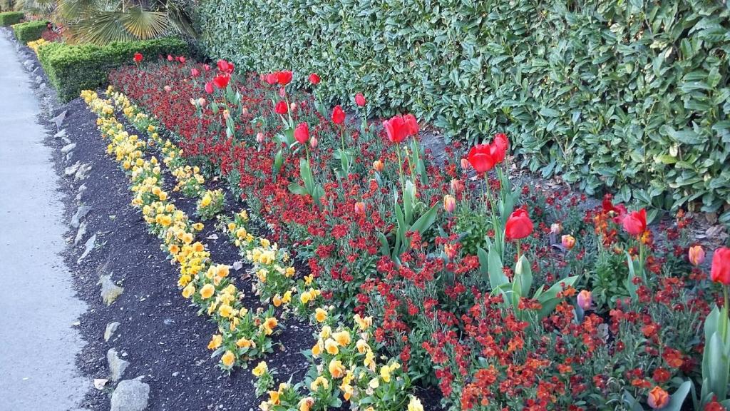 Jan's Boutique B & B Suite - Resim 15