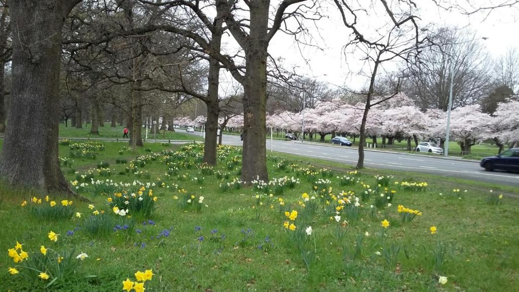 Jan's Boutique B & B Suite - Resim 16