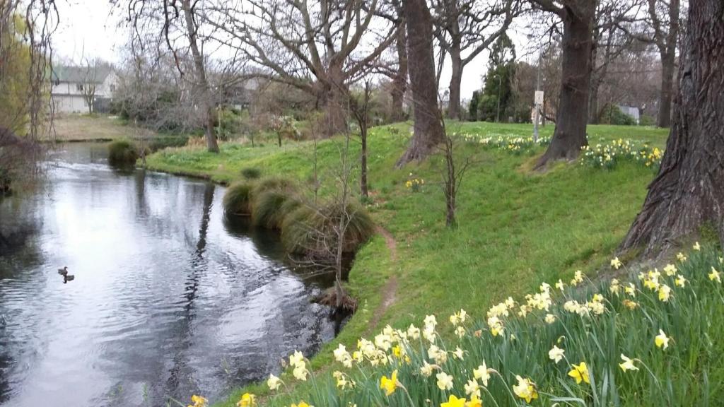 Jan's Boutique B & B Suite - Resim 17