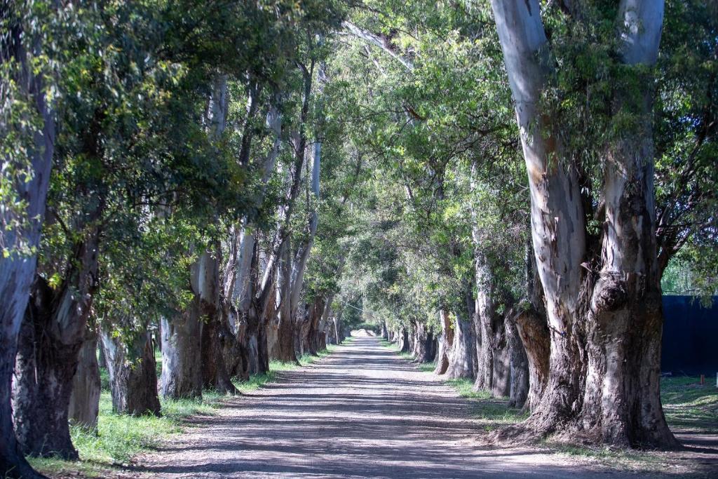 RentUp - Retiro de lujo Casa moderna con jardin y piscina en Pilar