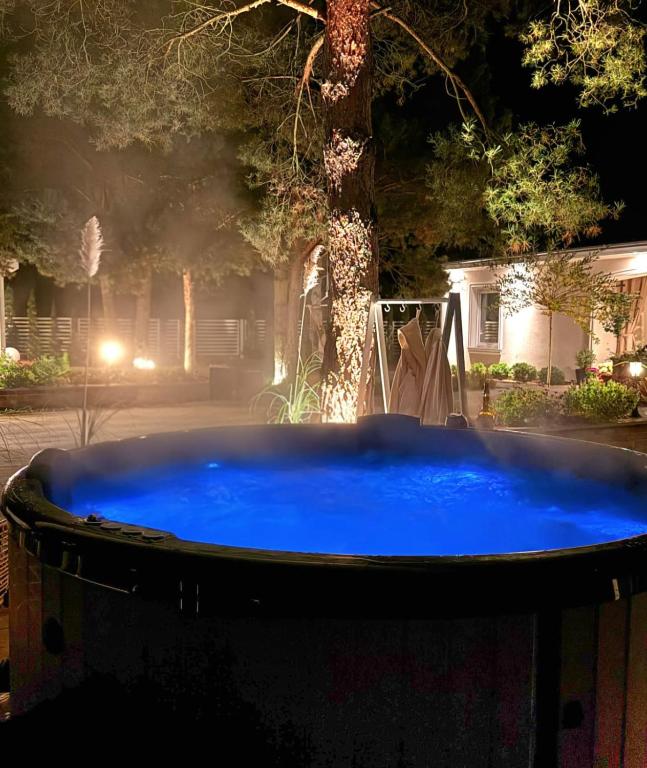 a large blue pool in front of a house at night at Sosenkowe Apartamenty Balia & Jacuzzi in Kuźnica Głogowska