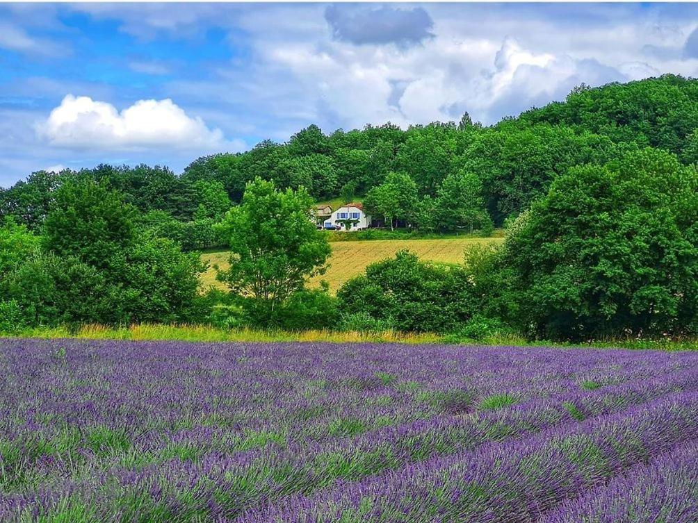 a purple lavender field with a house in the background at La Lumière Dorée in Lauzerte