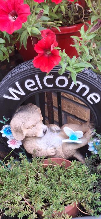 a stuffed animal in a tire with flowers at Appartement Ons Plekje in De Wilp