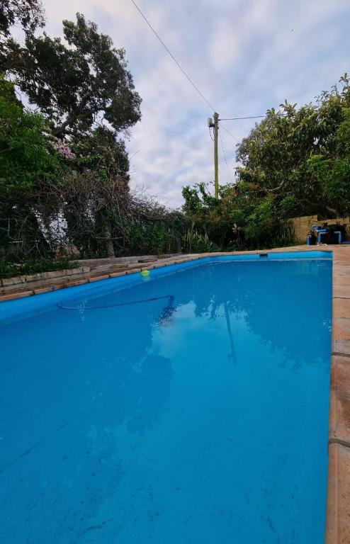a large blue swimming pool with trees in the background at Seaview Serenity in Gqeberha