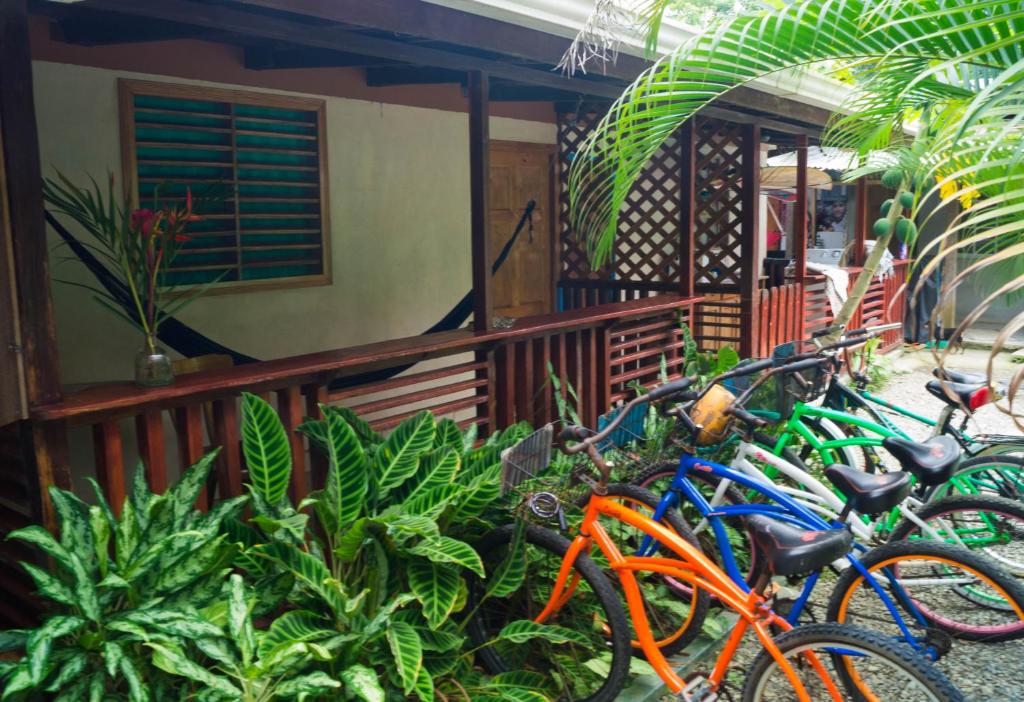 a row of bikes parked in front of a house at Hostal Cecilia in Puerto Viejo