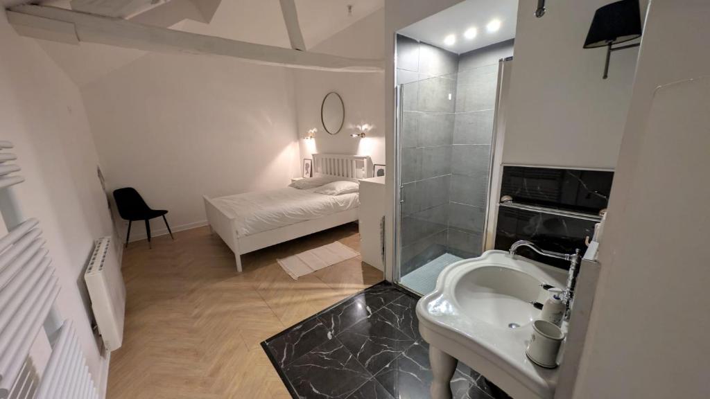 a bathroom with a sink and a toilet in a room at Le refuge bellifontain in Fontainebleau