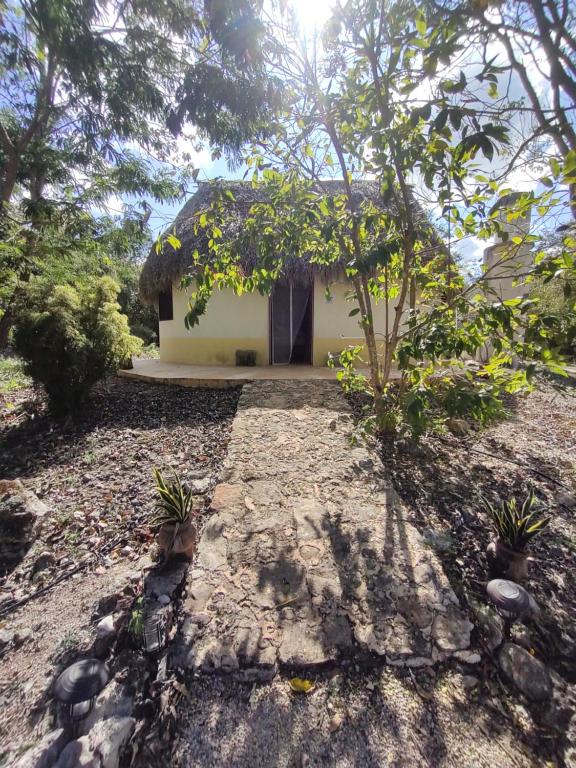 a small house with a tree in front of it at Eco Hacienda ICH-KI in Hoctún