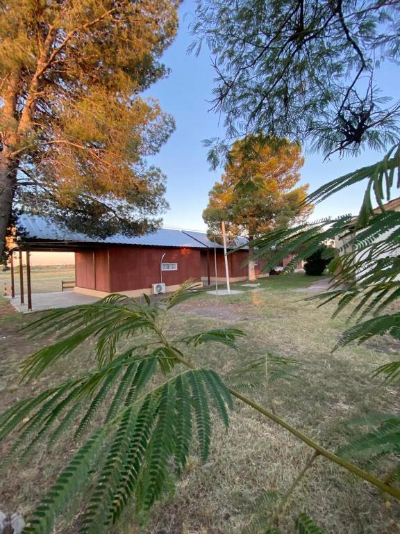a barn with a palm tree in front of it at Cabañas Emilia in La Adela