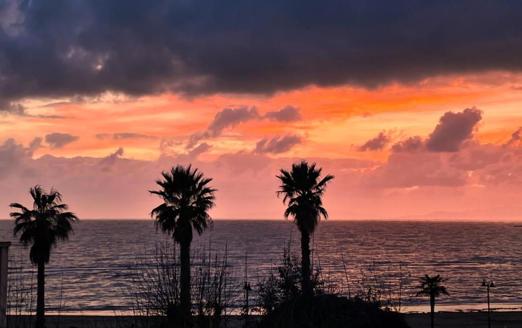 a sunset over the ocean with palm trees at Tra Cielo e Mare in Follonica
