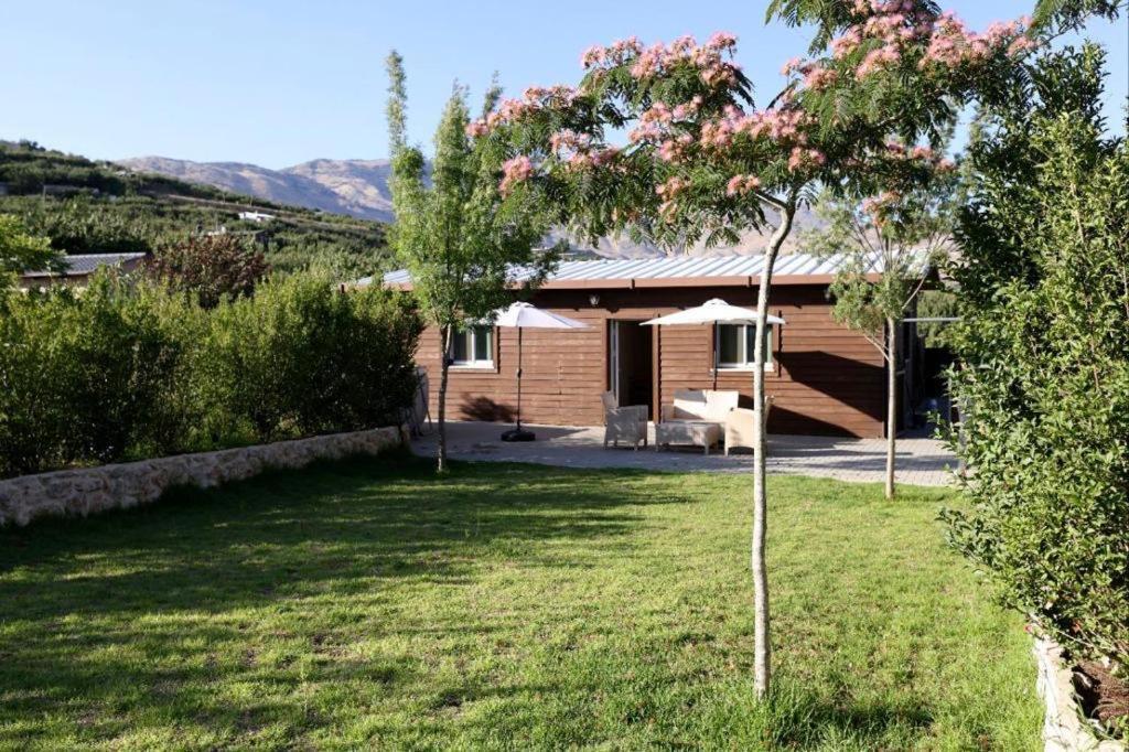 a house with a tree in the yard at להנות מהטבע שמס in Majdal Shams