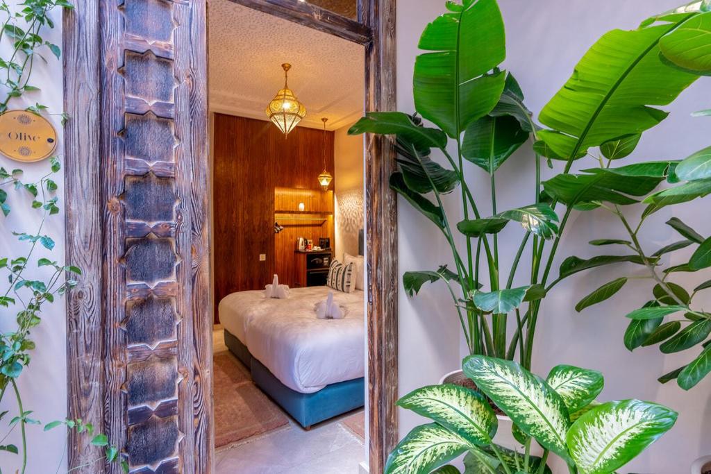 Riad Janate Bahia & Spa — photo 8