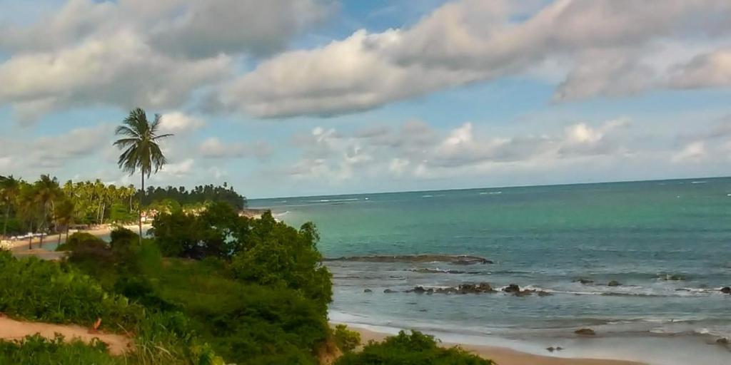 a beach with a palm tree and the ocean at Meu refúgio in Japaratinga