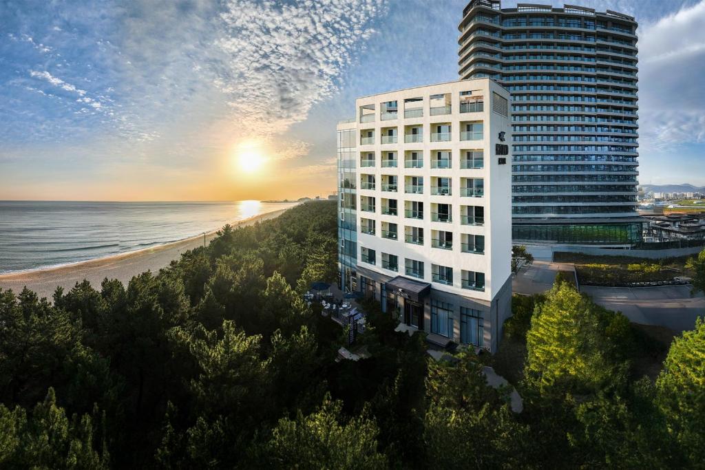 a tall building next to a beach with the ocean at Hotel Hound Gangneung Gyeongpo in Gangneung