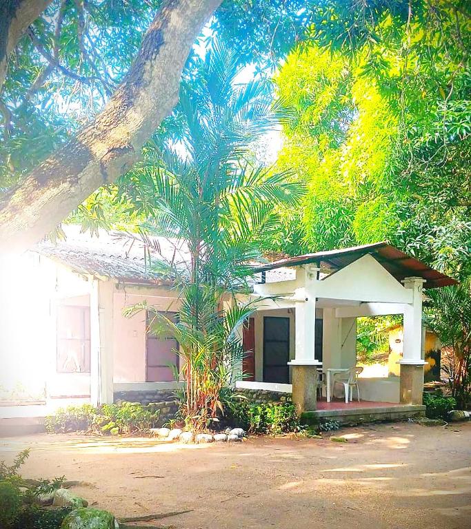 a small house with a palm tree in front of it at Eden Garden in Santa Marta