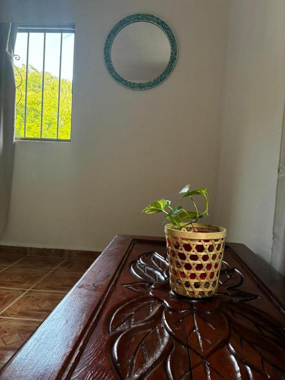 a potted plant sitting on top of a wooden table at Casa El Limón in Yelapa