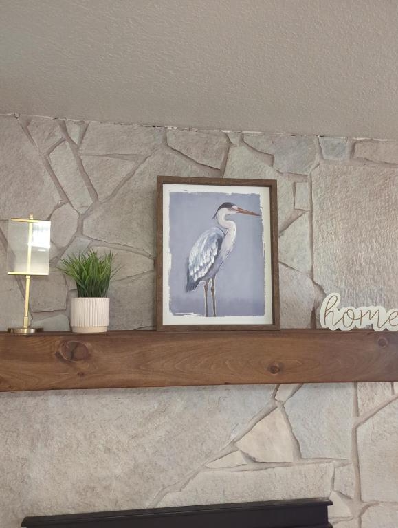 a picture of a bird sitting on a shelf at The Gate City Grande in Pocatello