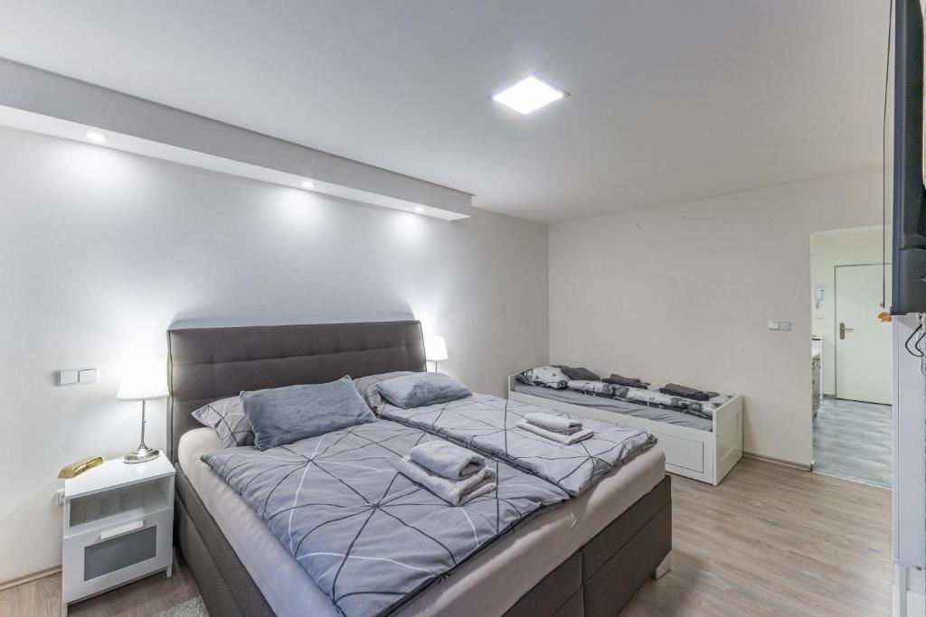 a bedroom with a large bed in a room at Apartmán U Zlaté hroudy in Zlaté Hory