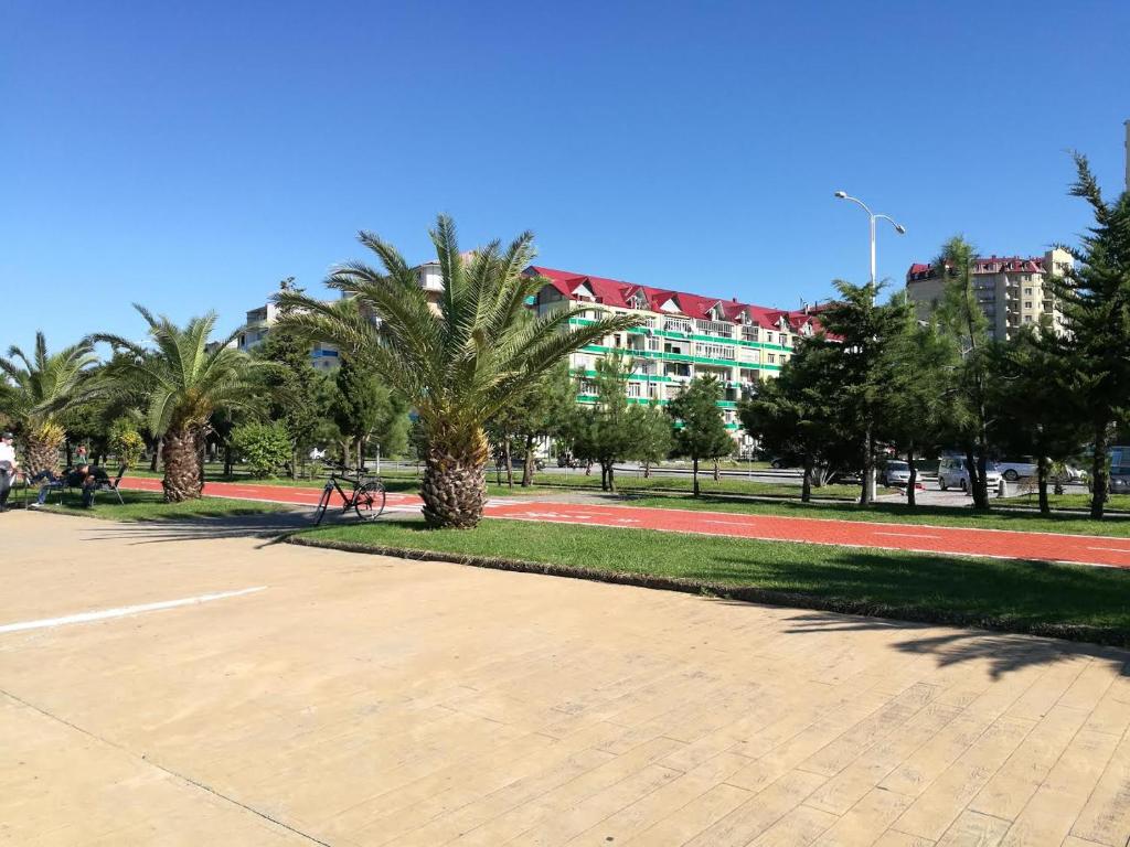 a park with palm trees in front of a building at Apartment Rustaveli 59 in Batumi