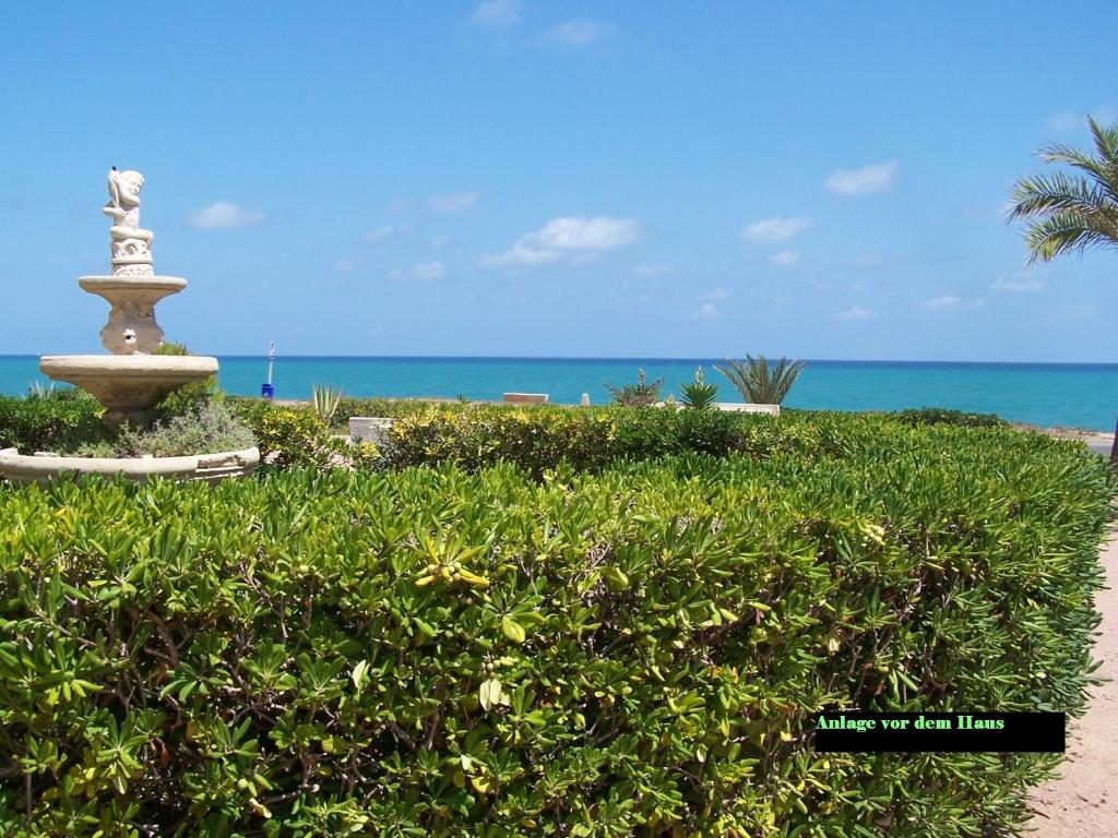 a fountain on the beach with the ocean in the background at La Mata & Sea in La Mata