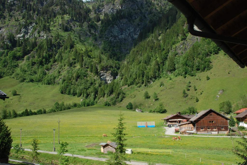 a view of a green field and a mountain at Ferienwohnung Kendler in Hüttschlag