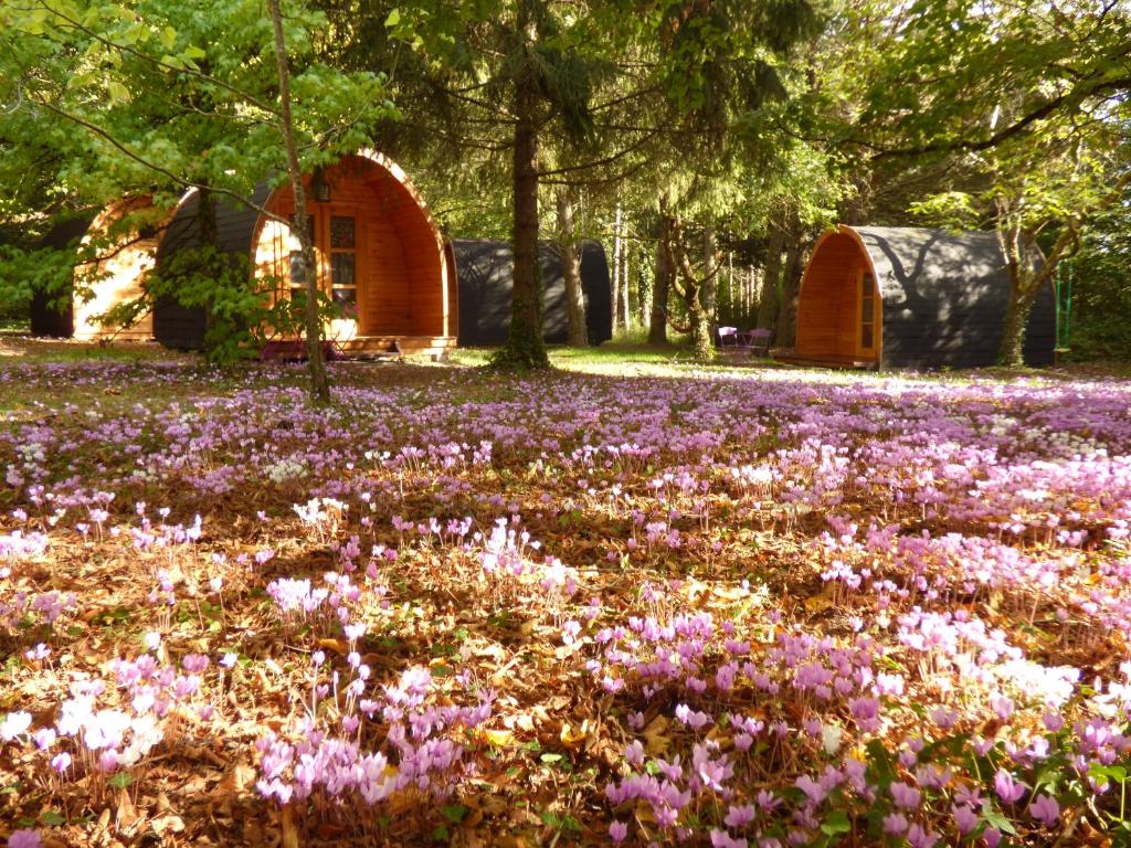 un campo de flores púrpuras frente a un edificio en La Rossignolerie - POD Cabanes des châteaux en Chouzy-sur-Cisse