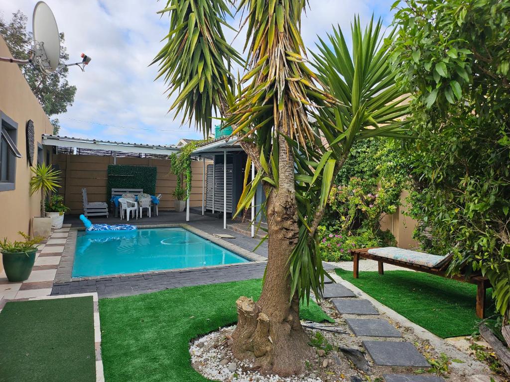 a palm tree and a swimming pool in a yard at Zufike Self Catering in Port Elizabeth