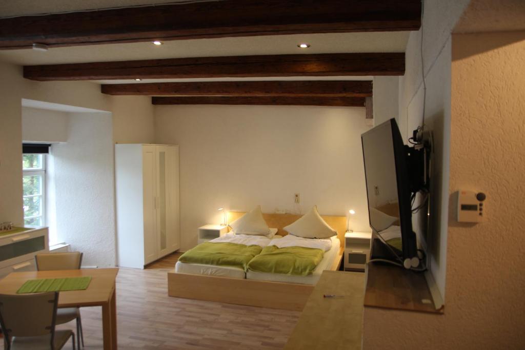 1 dormitorio con 1 cama y TV. en Ferienappartement Archimedes, en Walkenried