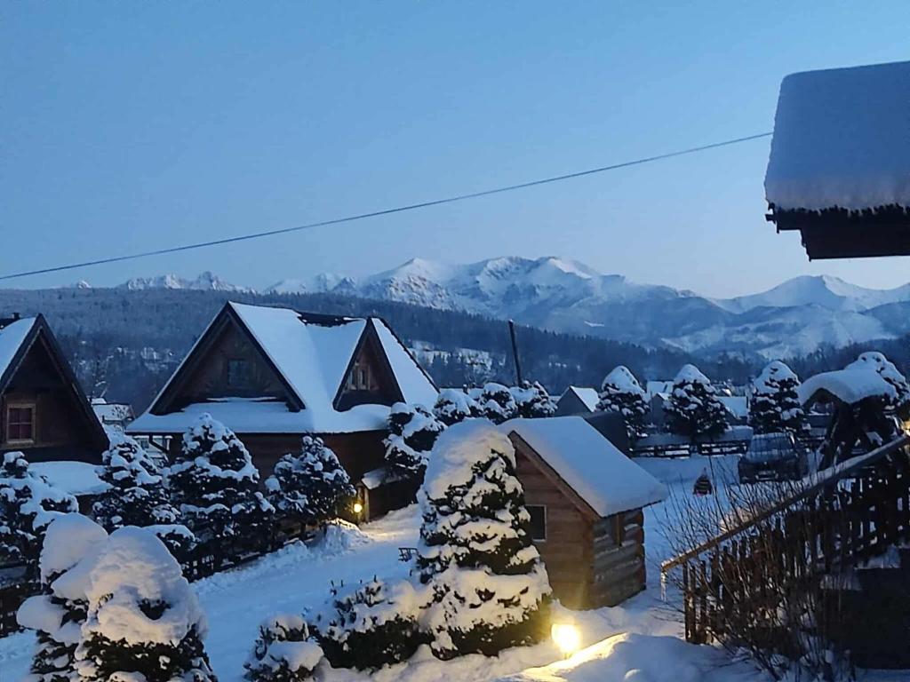 a village covered in snow at night at Domki Szwajnosówka in Witów