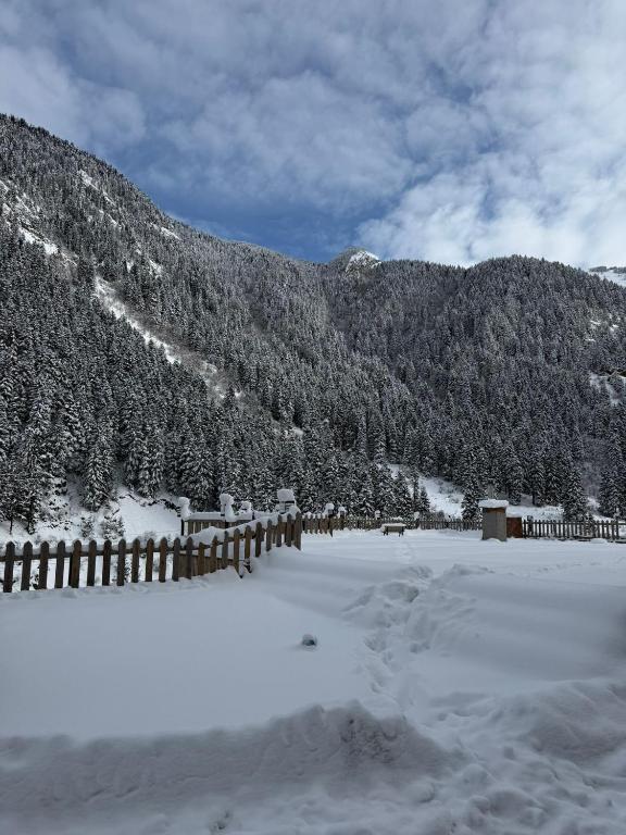 PAZARCIK MOUNTAIN HOTEL - 12