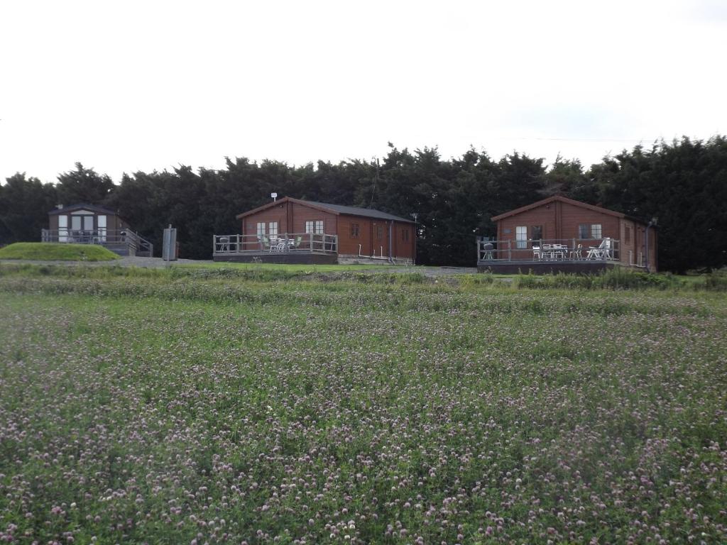 two houses in a field with a field of flowers at Avonvale Holiday Lodges, your home from home on the edge of THE COTSWOLDS in Evesham