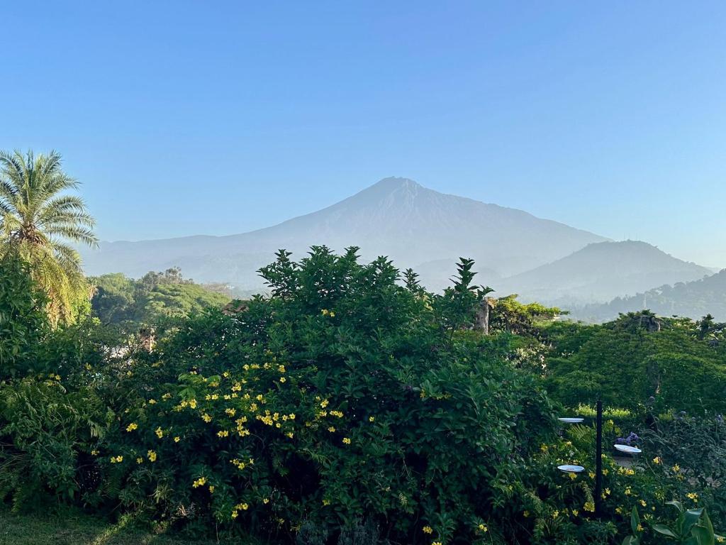 Boulevard Inn Mt Meru photo